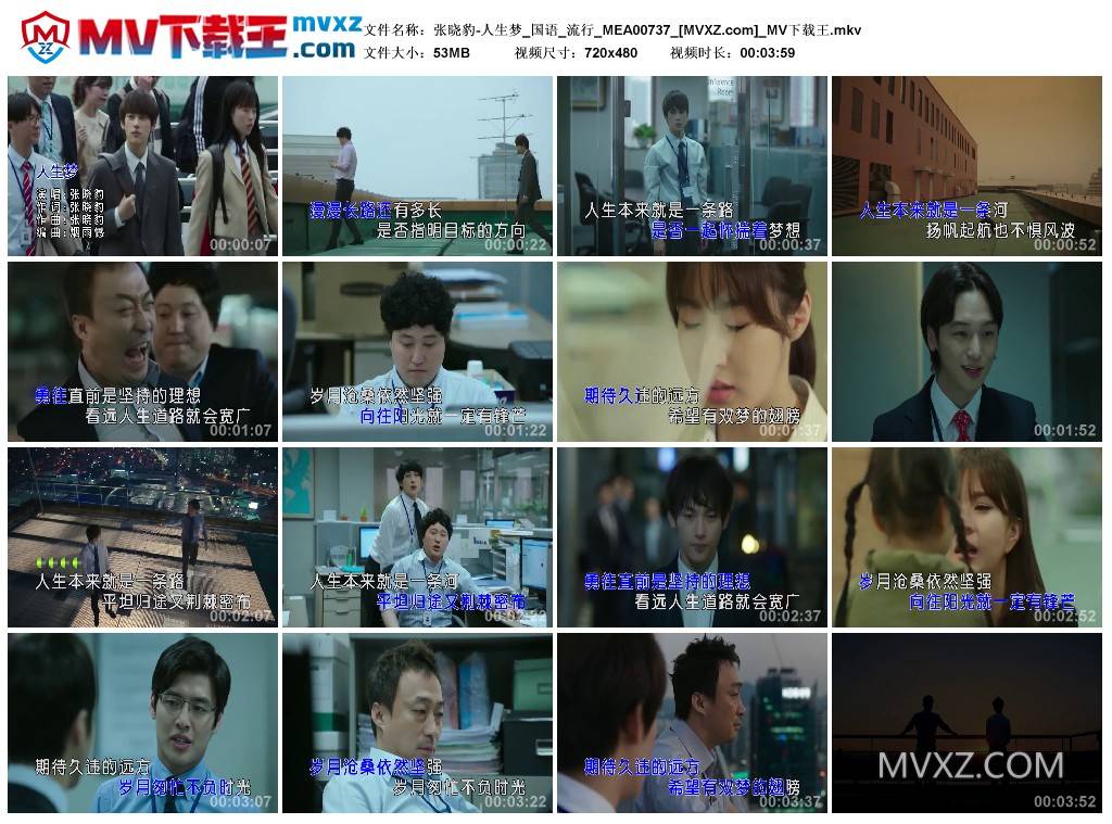张晓豹-人生梦_国语_流行_MEA00737